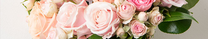 Лучшие свежие букеты в Чехове - от Гранд Флора